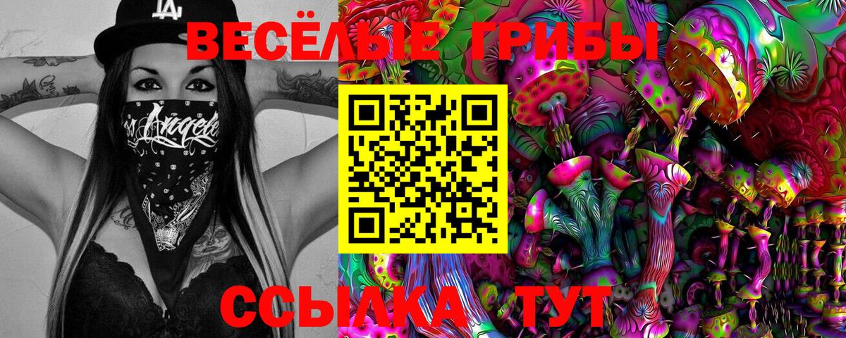 Псилоцибиновые грибы ЛСД  Псилоцибиновые грибы GOLDEN TEACHER  Вход с VPN  продажа наркотиков  Нижнеудинск 